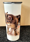 Kitten