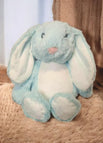 BABY BLUE