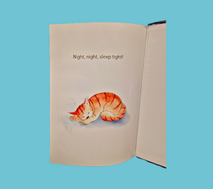 Bedtime Story Book - Ned, Ned, Bed, Bed, Bed!